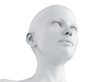 3d Rendered Medically Accurate Illustration Of A Female Wireframe Head