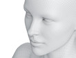 3d rendered medically accurate illustration of a female wireframe face