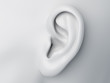 3d rendered medically accurate illustration of a grey abstract female ear