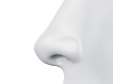 3d Rendered Medically Accurate Illustration Of A Grey Abstract Female Nose