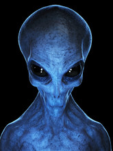 3d Rendered Medically Accurate Illustration Of A Grey Alien