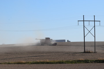 Canvas Print - Harvest