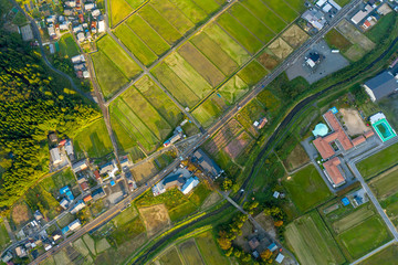 Top down aerial view of Rice fields and Small Rural Japanese Town, Shiga 