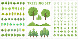 Fototapeta Fototapeta las, drzewa - Set of forest and park trees for nature design