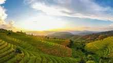 Panorama Aerial View Sunset Scene Of Pa Bong Piang Terraced Rice Fields, Mae Chaem, Chiang Mai Thailand. Mountain Hills Valley At Morning In Asian, Vietnam. Nature Landscape Background.
