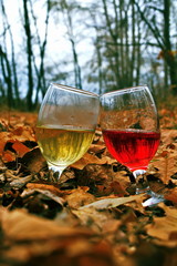 Pair of glass wine glasses with a white and red wine drink between autumn fallen leaves on the dark blurred background of the withered forest with reflection of landscape in liquid. Vertical frame