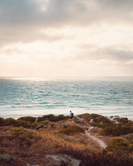 Wall Mural - Lone man with with professional camera backpack, walking through the winding sand path through the sand dunes covered in greenery, walking towards the beautiful ocean and bright sky with rays shining.