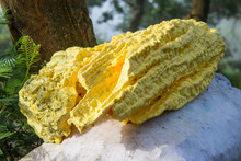 Pieces Of Raw Sulphur/Sulfur After Mining From Kawah Ijen, A Volcano In East Java, Indonesia. Sulphur Is Important To Used In Many Other Industries.