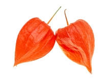 Fruits Of Red Physalis