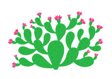 Opuntia Cactus Plant. Prickly Pear Blossom. Nopal. Indian Fig Opuntia Shrub. Vector Illustration.