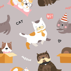  Cat pattern. Cute kittens, funny playful pets seamless vector childish textile texture. Pet cat meow, animal pattern textile illustration