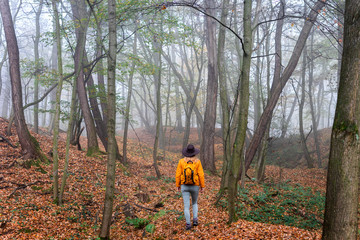 Wall Mural - tourist hiking in misty forest