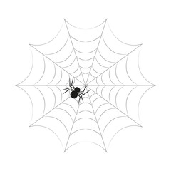 spider on the web in flat style, vector