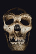 © Cla78 - Dark skull isolated on a black background