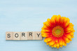 Word sorry and flower on a blue background.