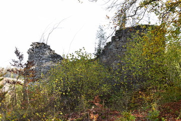 Canvas Print - überwucherte Ruine Dreimühlen