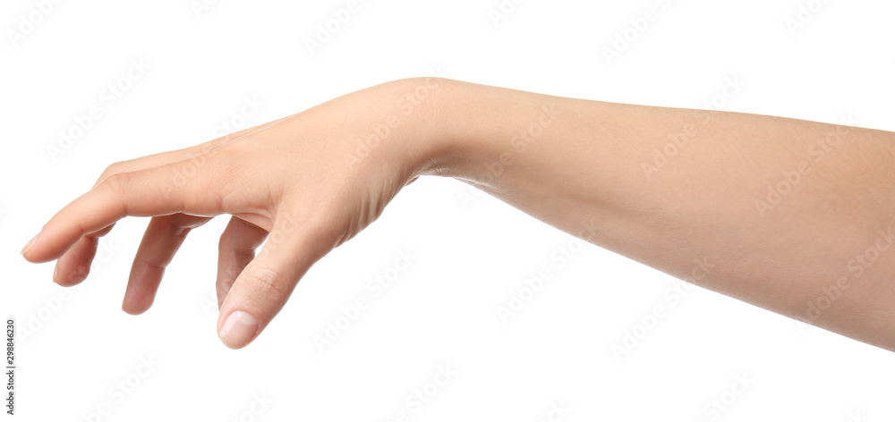 Hand of woman holding something on white background