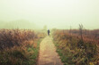 © SkyLine - The  man is walking through the country road in the meadow in the foggy weather