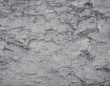 © A Stock Studio - Texture of gray old plastered wall with cracks. Horizontal image.