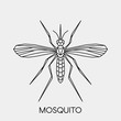Abstract polygonal mosquito. Geometric linear animal. Vector illustration.	