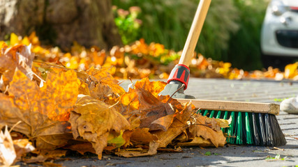 Sweep foliage: when the walkway needs to be cleared