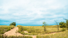 Sandy Dunes And Grass In New Buffalo, Michigan On The Lake.