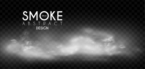 Canvas Print - Fog, mist and smoke steam clouds. Transparent effect. Depth design.
