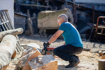 Wall Mural - Man cut with saw. Dust and movements. Woodcutter saws tree with chainsaw on sawmill. lumberjack