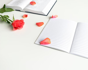 Wall Mural - Bible flat lay with red/pink rose, pedals, open journal and open book on white background