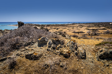 Chrissy island scenery on a sunny summer day with dry trees, brown soil and blue clear sky with haze.