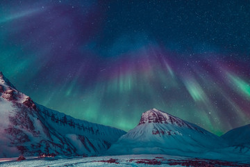 Wall Mural - the polar arctic northern lights hunting aurora borealis sky star in norway travel photographer sval