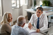 © Drazen - Insurance agent consulting senior couple about  their financial reports on a meeting.