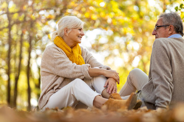 Poster - Happy senior couple in autumn park