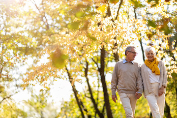 Sticker - Happy senior couple in autumn park