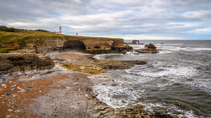 Poster - Clifftop View at Low Tide, in a cove known as The Wherry, among Magnesian Limestone Cliffs just south of Souter Lighthouse which is full of caves and sea stacks