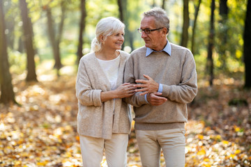 Poster - Happy senior couple in autumn park