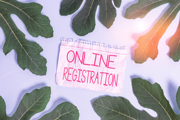 Writing note showing Online Registration. Business concept for System for subscribing or registering via the Internet Leaves surrounding notepaper above empty soft pastel table