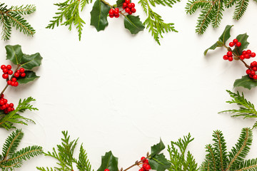 christmas background with branches of fir tree, evergreens and holly with red berries on white. wint