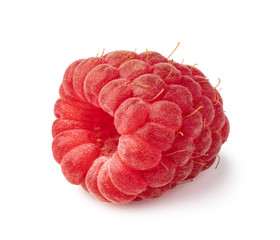 Wall Mural - ripe raspberry on white background