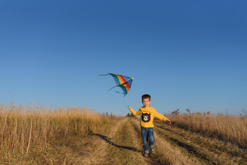 Wall Mural - Happy child playing with a kite while running on meadow, sunset, in summer day. Funny time with family. Little boy launch a kite.