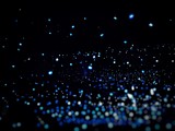 Fototapeta Tęcza - Bioluminescence