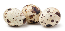 Quail Eggs Isolated On White