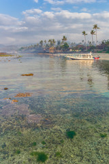 Wall Mural - Coral in the turquoise water of the Candidasa coast