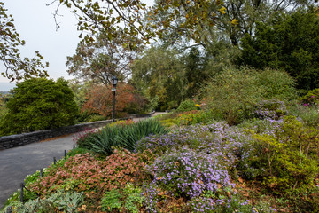 Fall foliage color of Fort Tryon Park in Fort George Manhattan