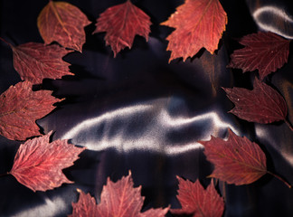 shiny fabric texture with red autumn leafs circle over surface