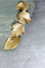 Wall Mural - leaves colored in golden color. conceptual background 