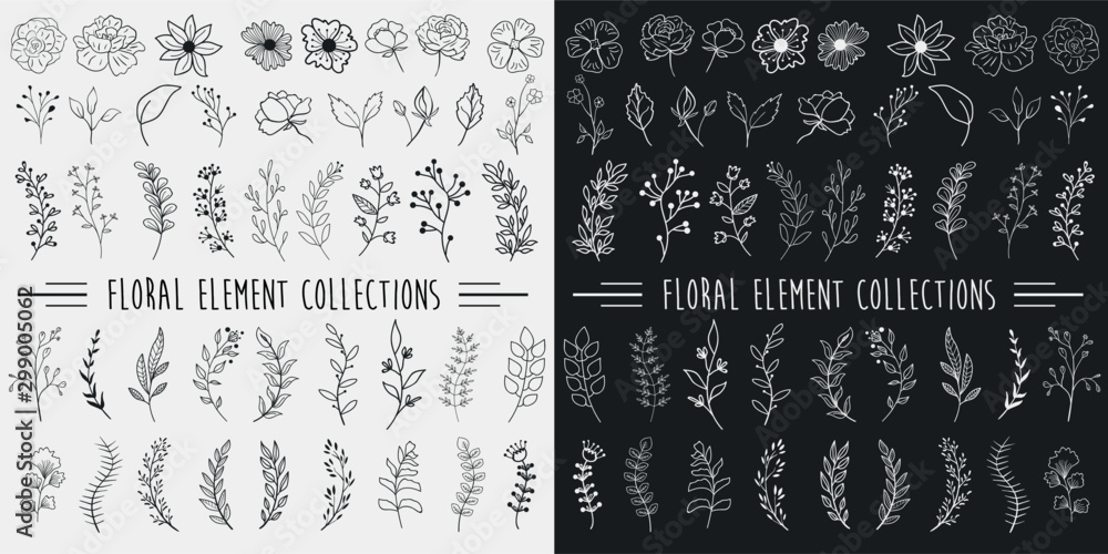 Hand Drawn Floral Elements Design Vector Stock Vector | Adobe Stock