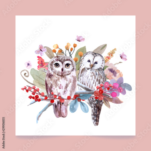owl vectors, with watercolor painting  for design