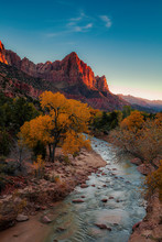 Zion N Ational Park's Watchman