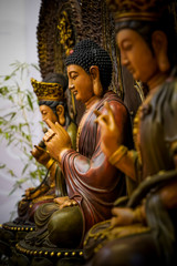 Statues of Buddha